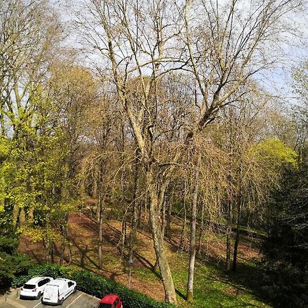 Chambre D'Hote Au Parc Des Thibaudieres ブシー・サン・タントワーヌ エクステリア 写真
