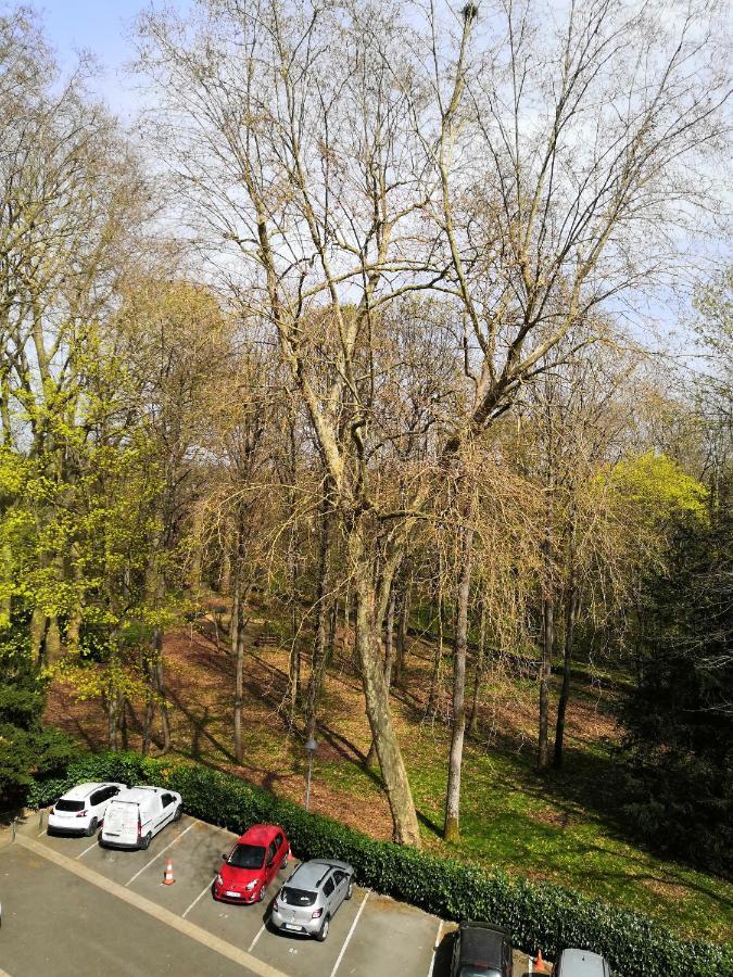 Chambre D'Hote Au Parc Des Thibaudieres ブシー・サン・タントワーヌ エクステリア 写真