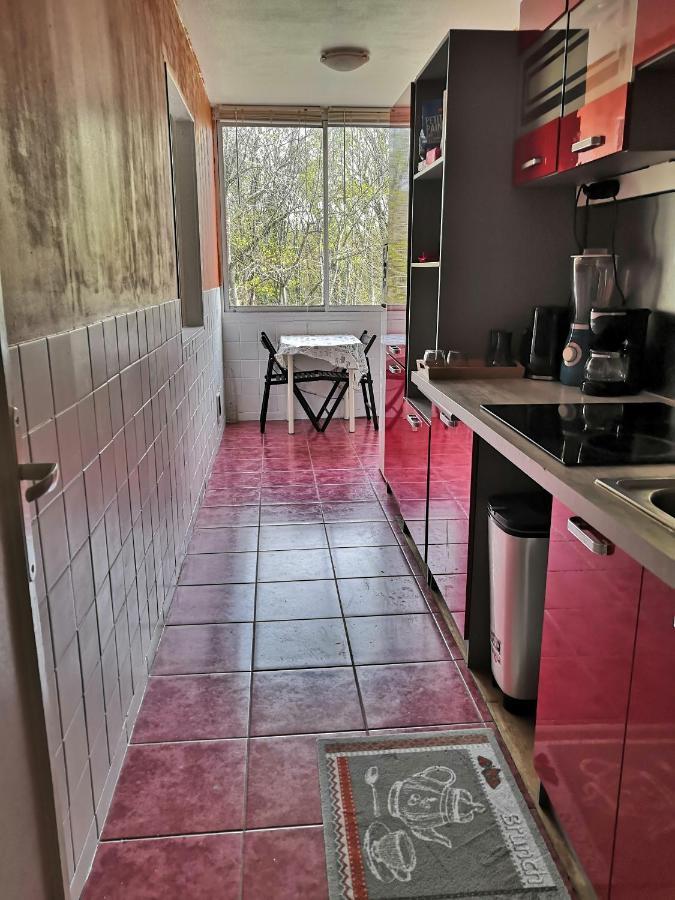 Chambre D'Hote Au Parc Des Thibaudieres ブシー・サン・タントワーヌ エクステリア 写真